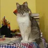 Отзыв от Маргарита Черкасова